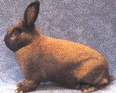 Th&uuml;ringer